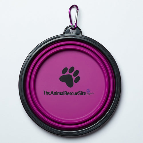 GreaterGood Collapsible Travel Pet Bowl