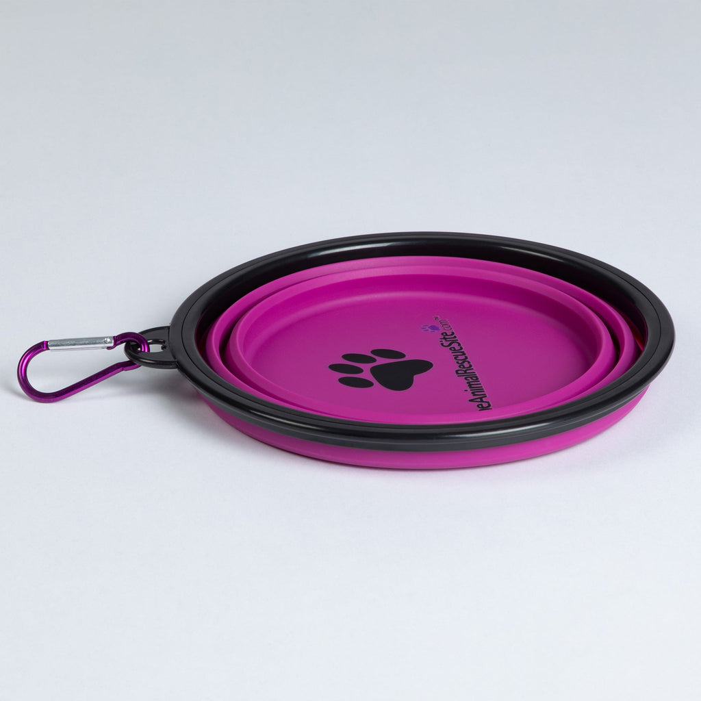 GreaterGood Collapsible Travel Pet Bowl
