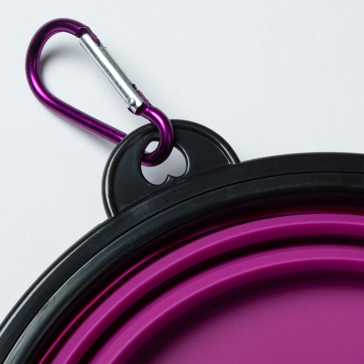GreaterGood Collapsible Travel Pet Bowl