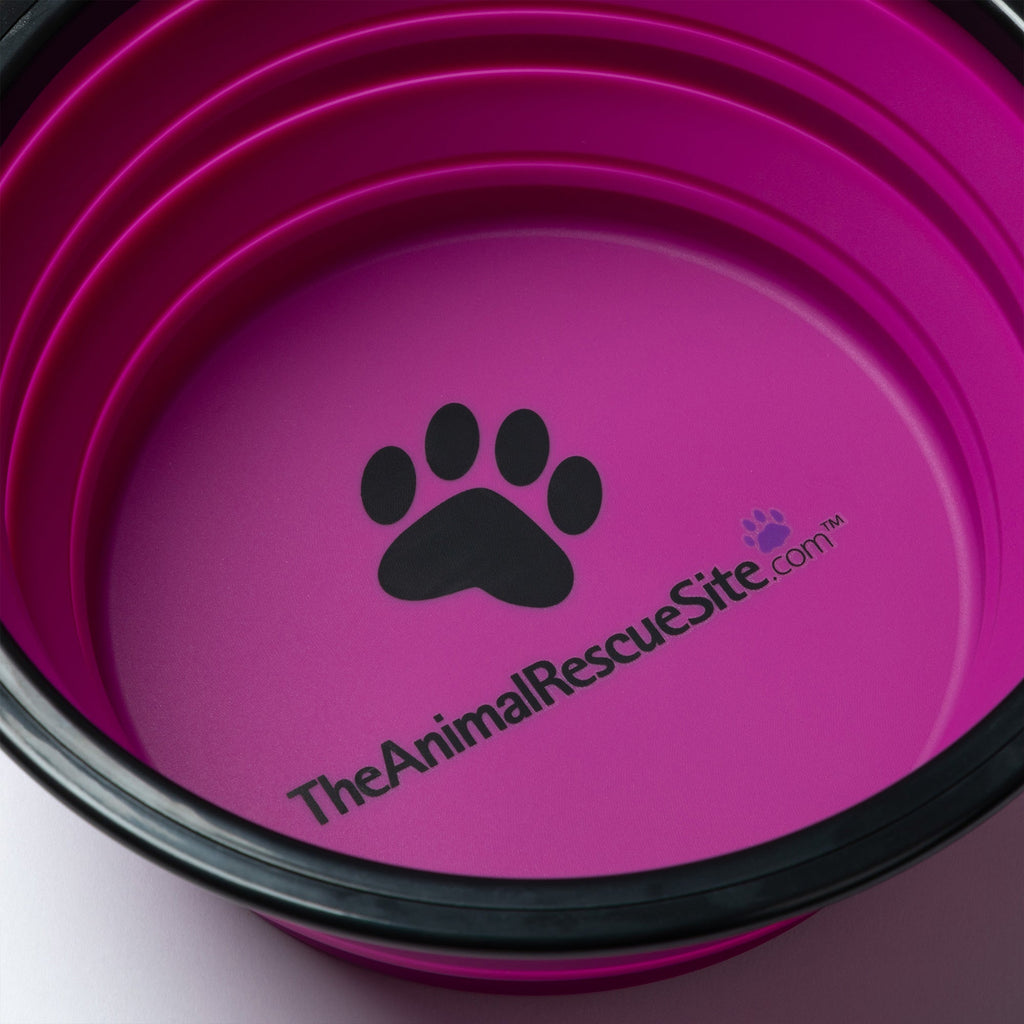 GreaterGood Collapsible Travel Pet Bowl