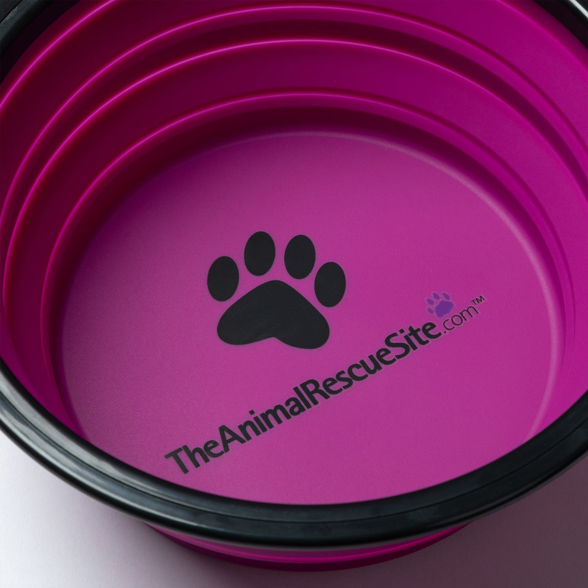 GreaterGood Collapsible Travel Pet Bowl