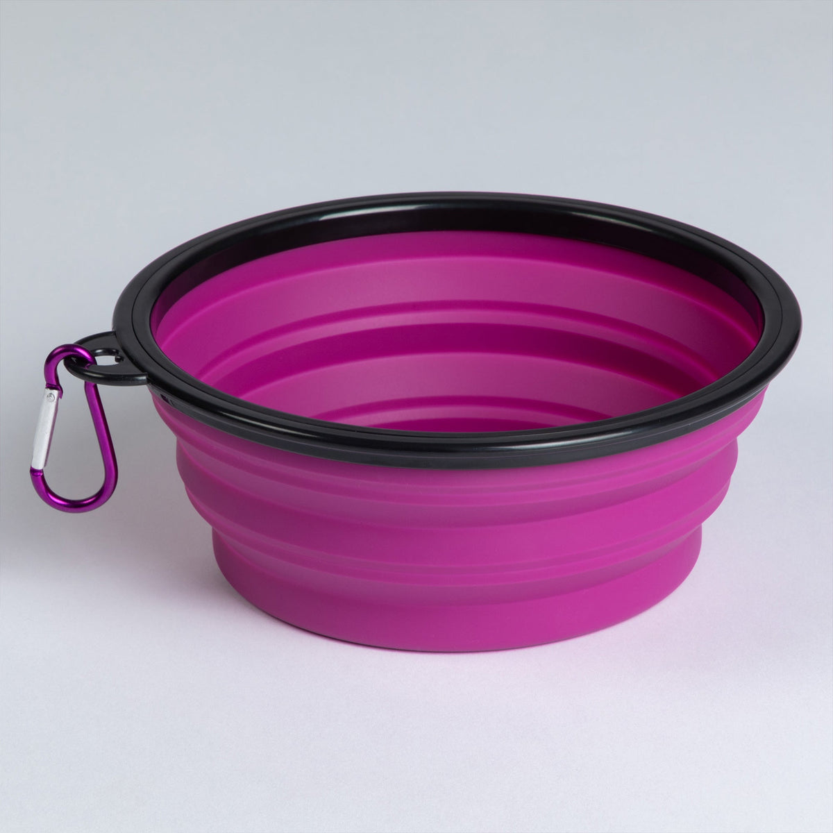 GreaterGood Collapsible Travel Pet Bowl