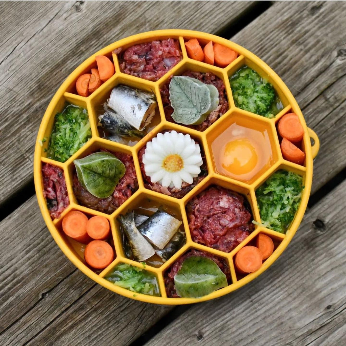 SodaPup Honeycomb Slow Feeder Dog Bowl