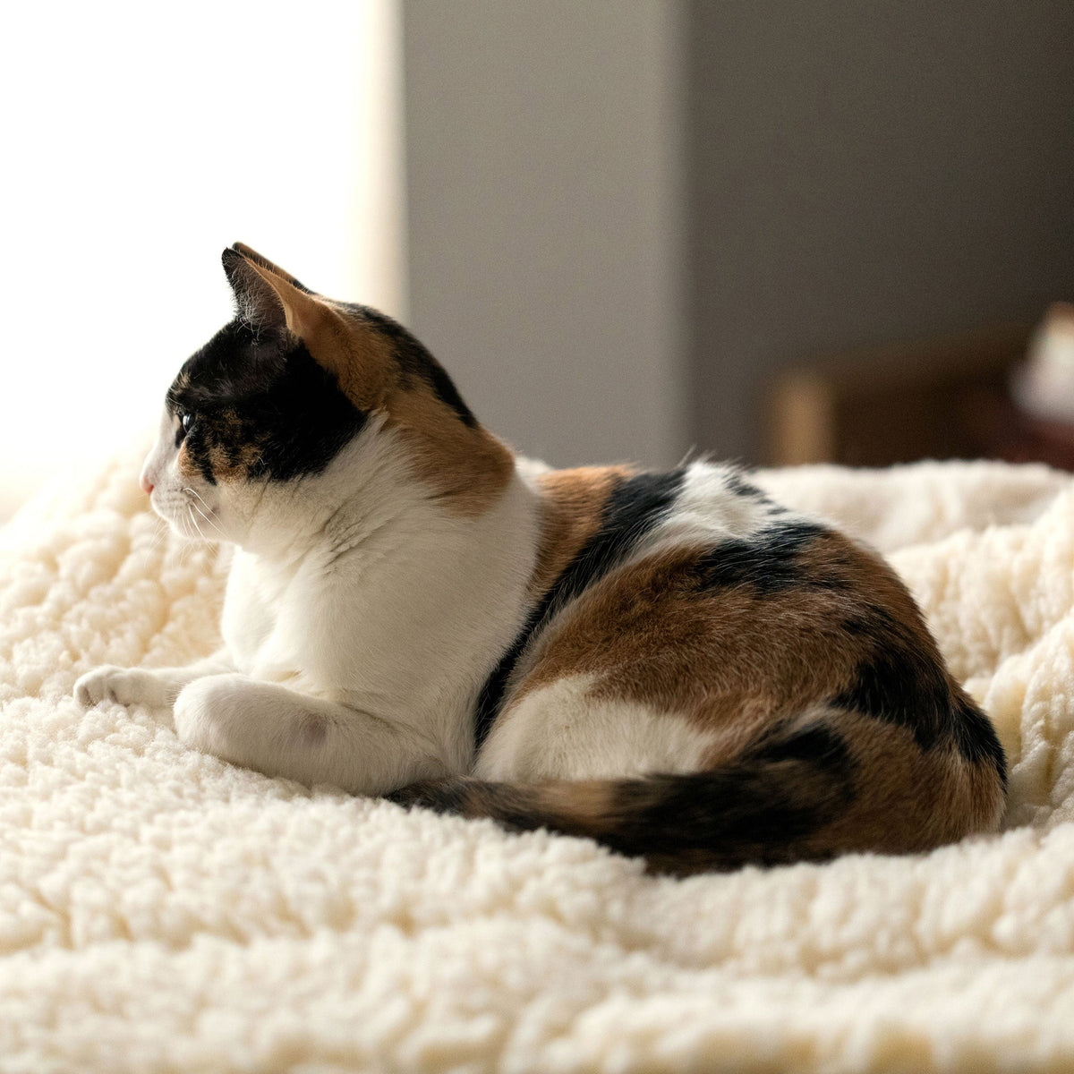 HuggleHounds HuggleFleece Mat Cat & Dog Bed
