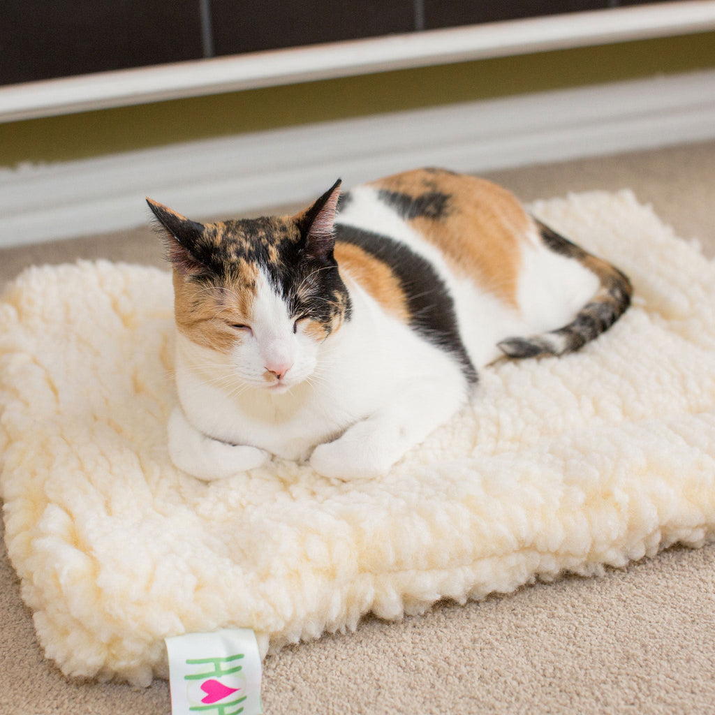 HuggleHounds HuggleFleece Mat Cat & Dog Bed