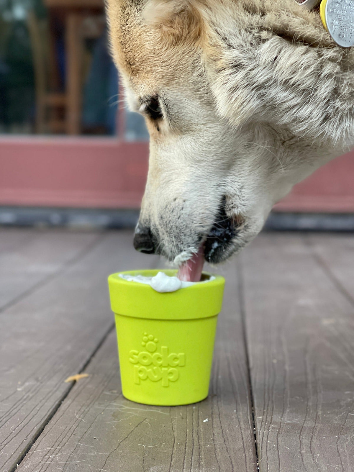 SodaPup Flower Pot Treat Dispenser