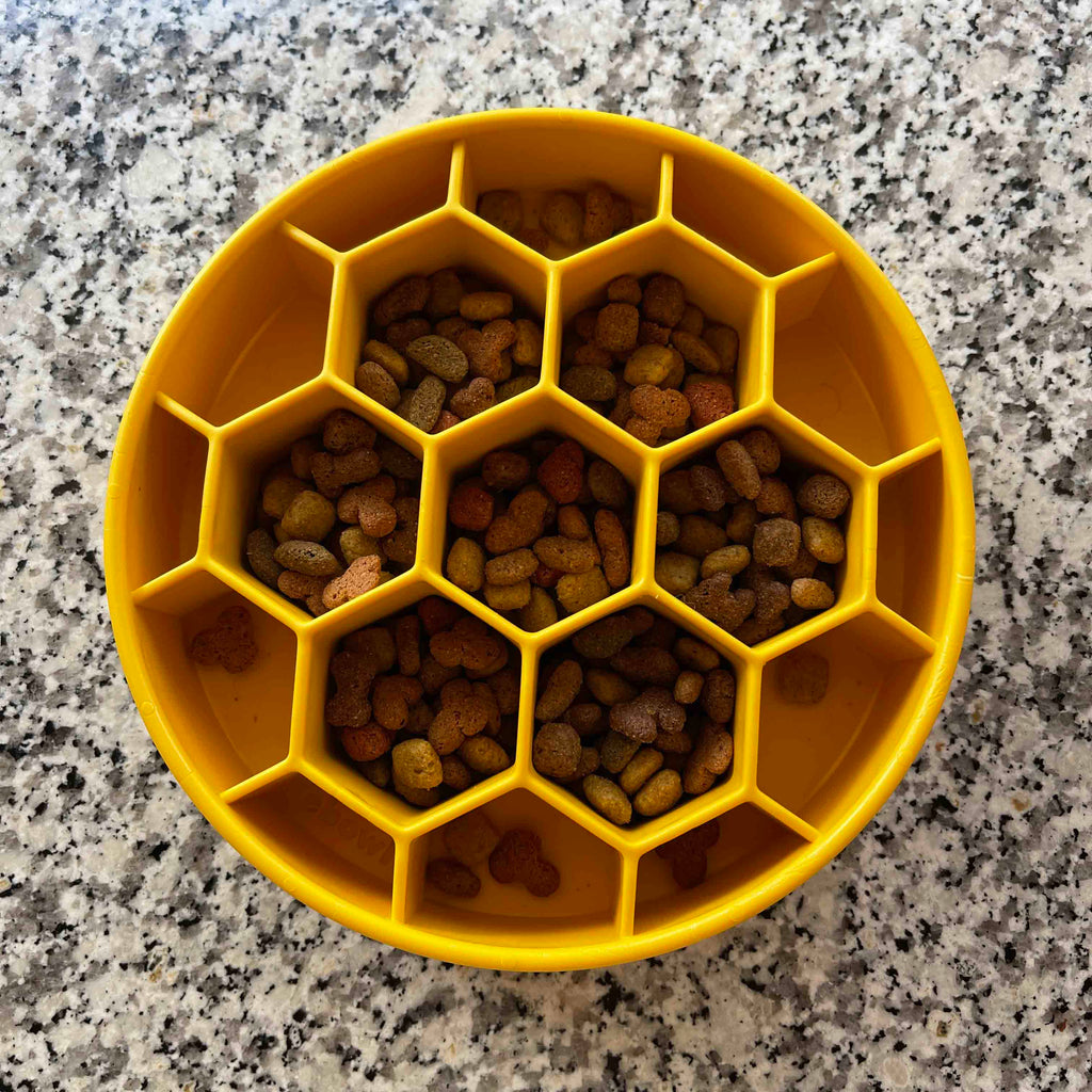 SodaPup Honeycomb Slow Feeder Dog Bowl