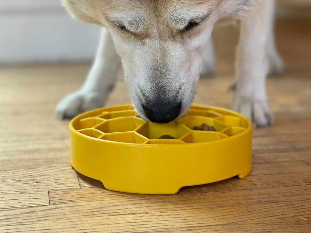 SodaPup Honeycomb Slow Feeder Dog Bowl