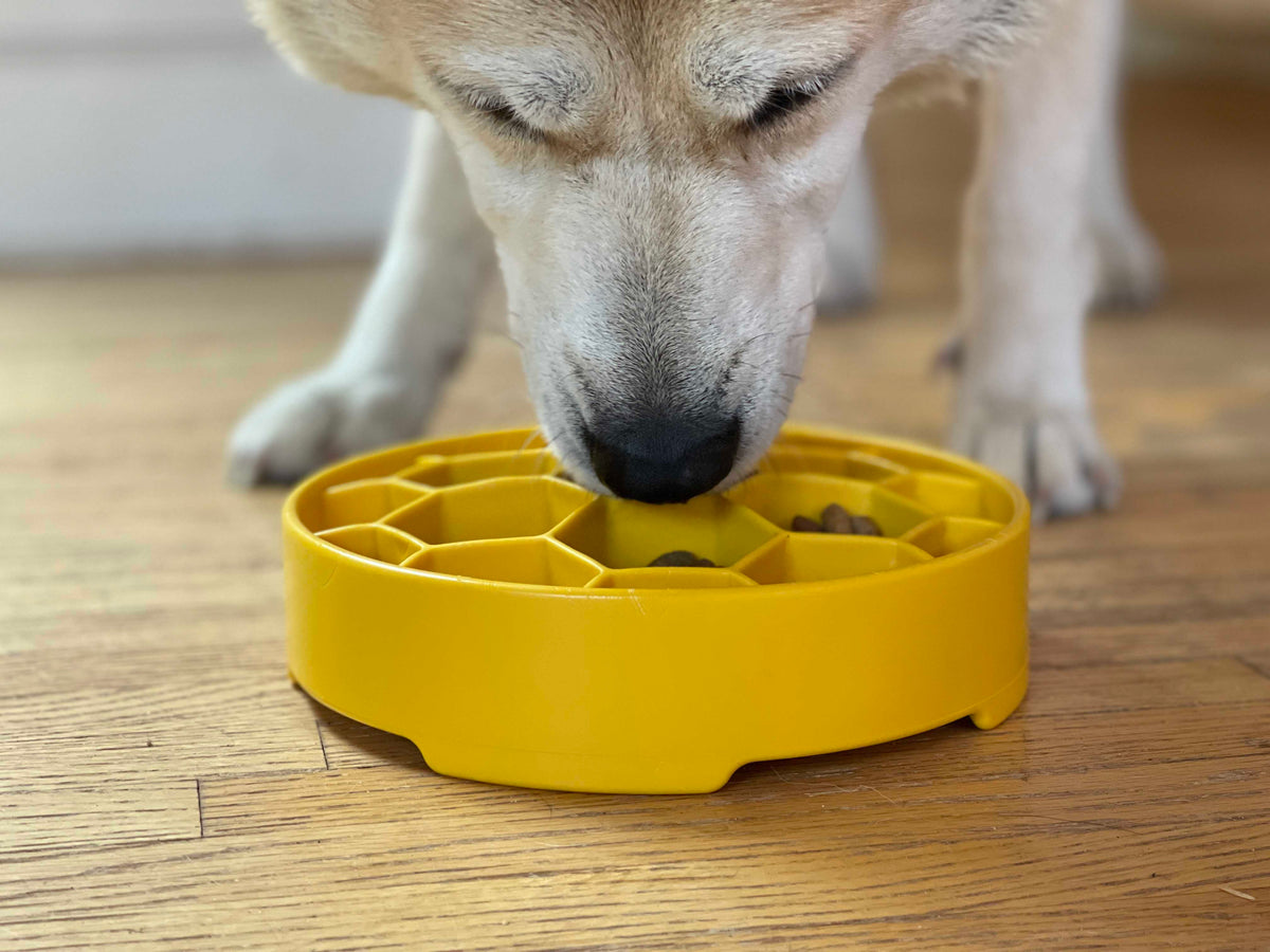 SodaPup Honeycomb Slow Feeder Dog Bowl