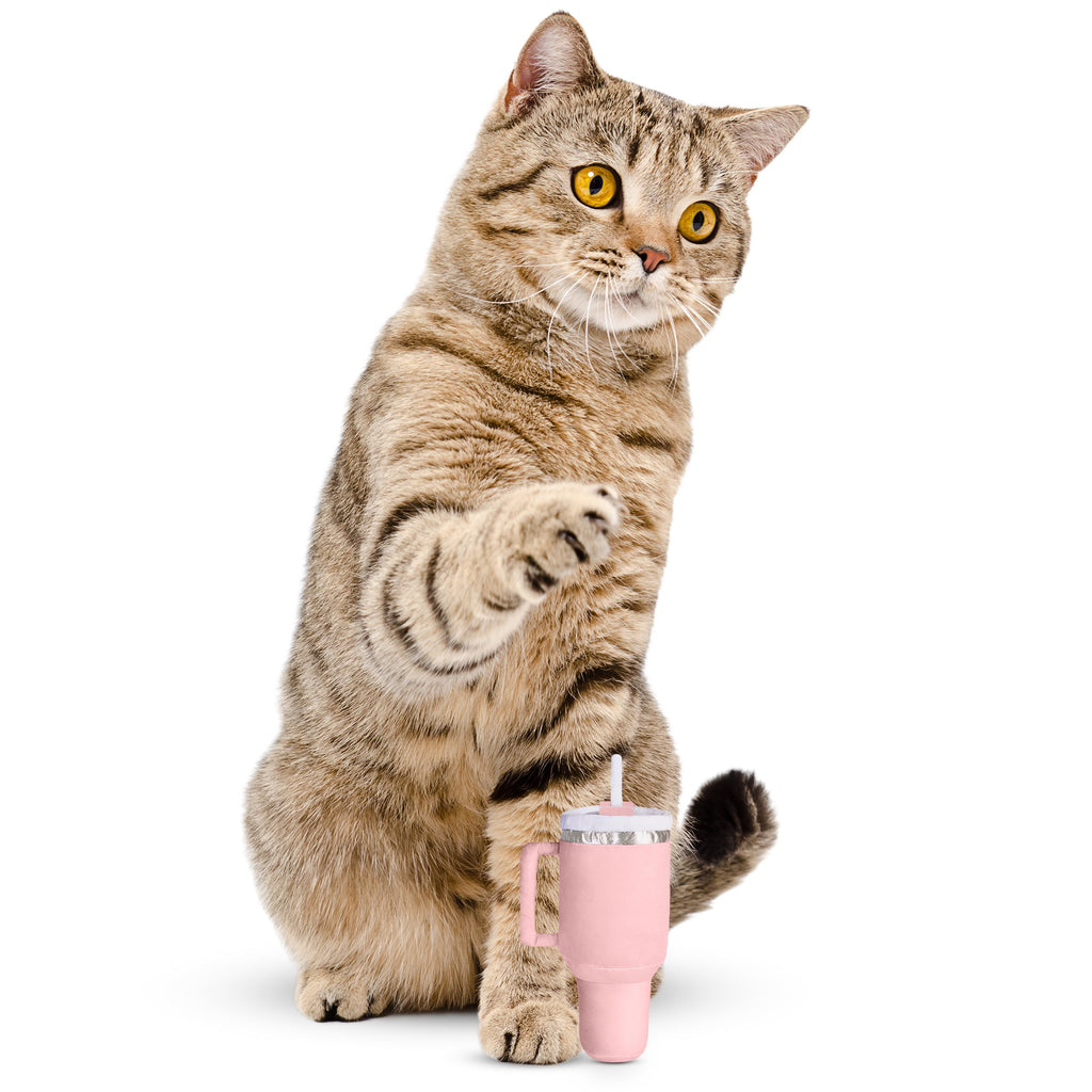 PUPROAR Kitty Cup Cat Toy
