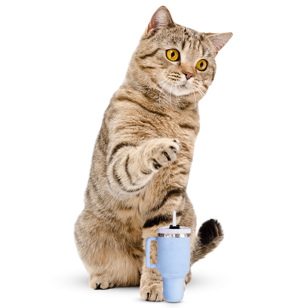 PUPROAR Kitty Cup Cat Toy
