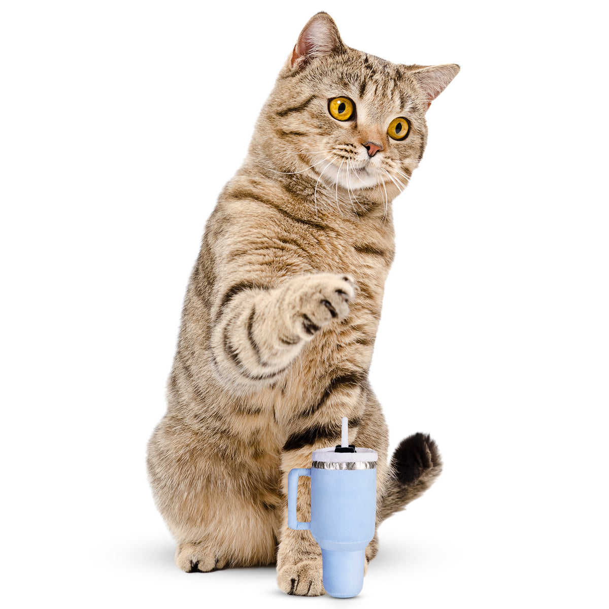 PUPROAR Kitty Cup Cat Toy