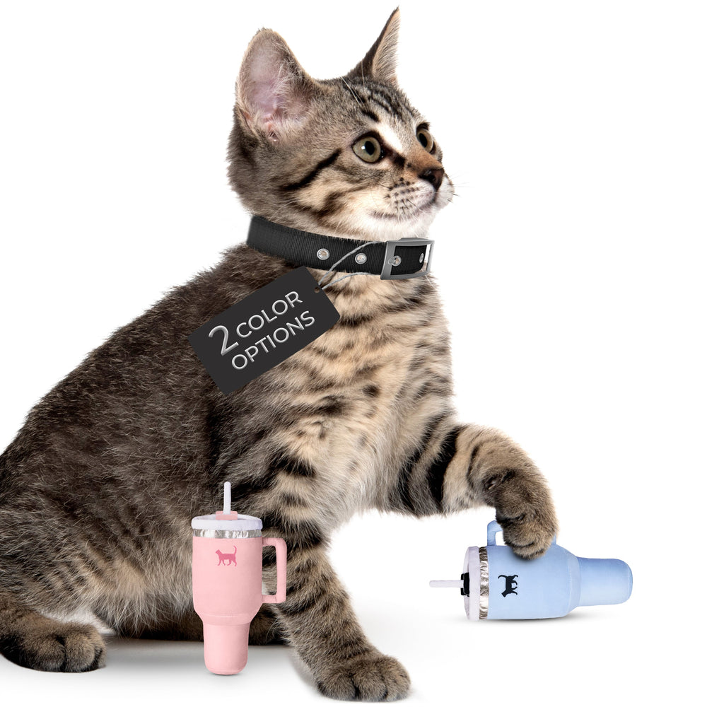 PUPROAR Kitty Cup Cat Toy
