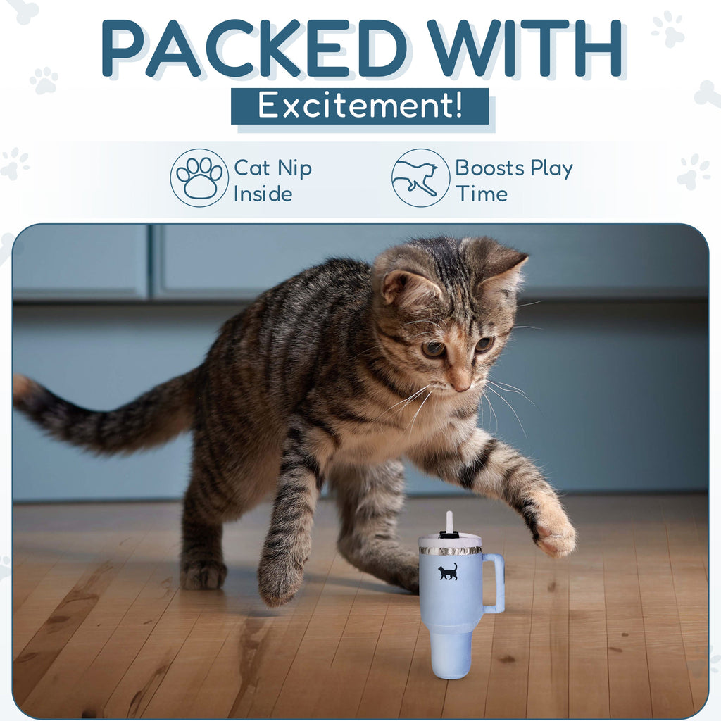 PUPROAR Kitty Cup Cat Toy