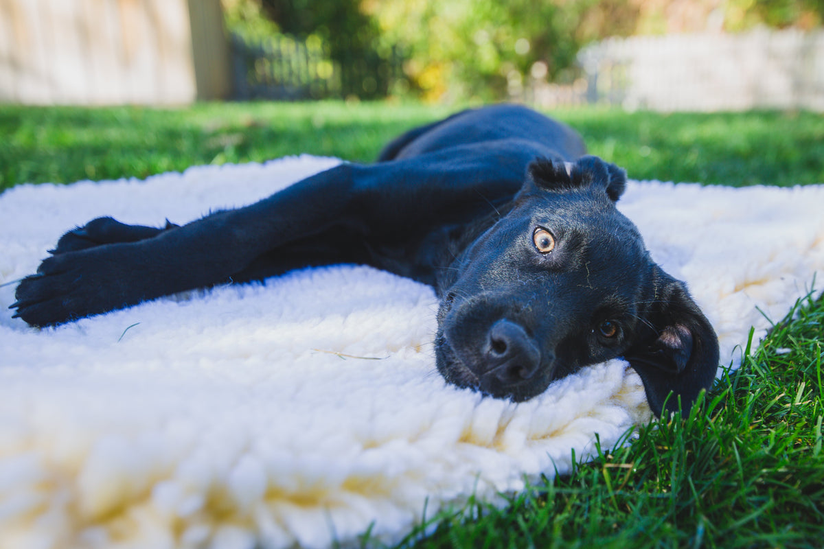 HuggleHounds HuggleFleece Mat Cat & Dog Bed