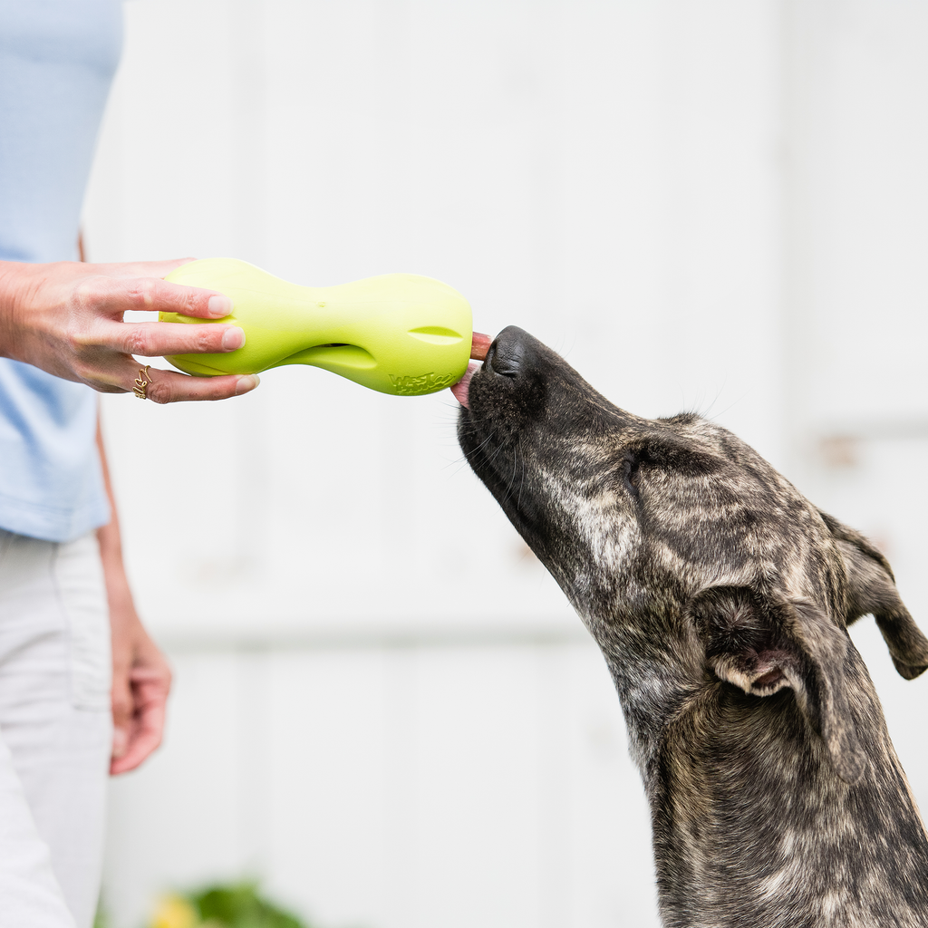 West Paw Qwizl Treat Toy