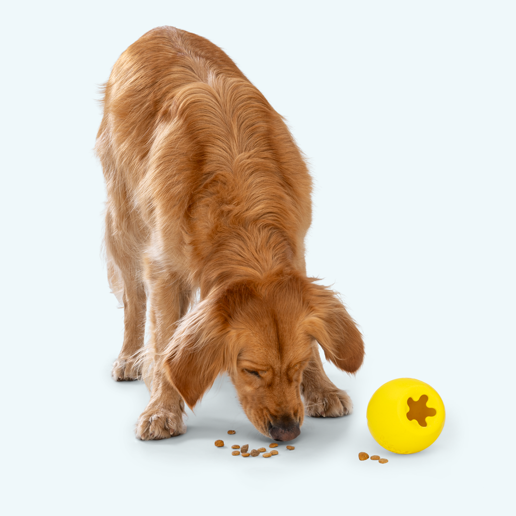 West Paw Rumbl Treat Toy