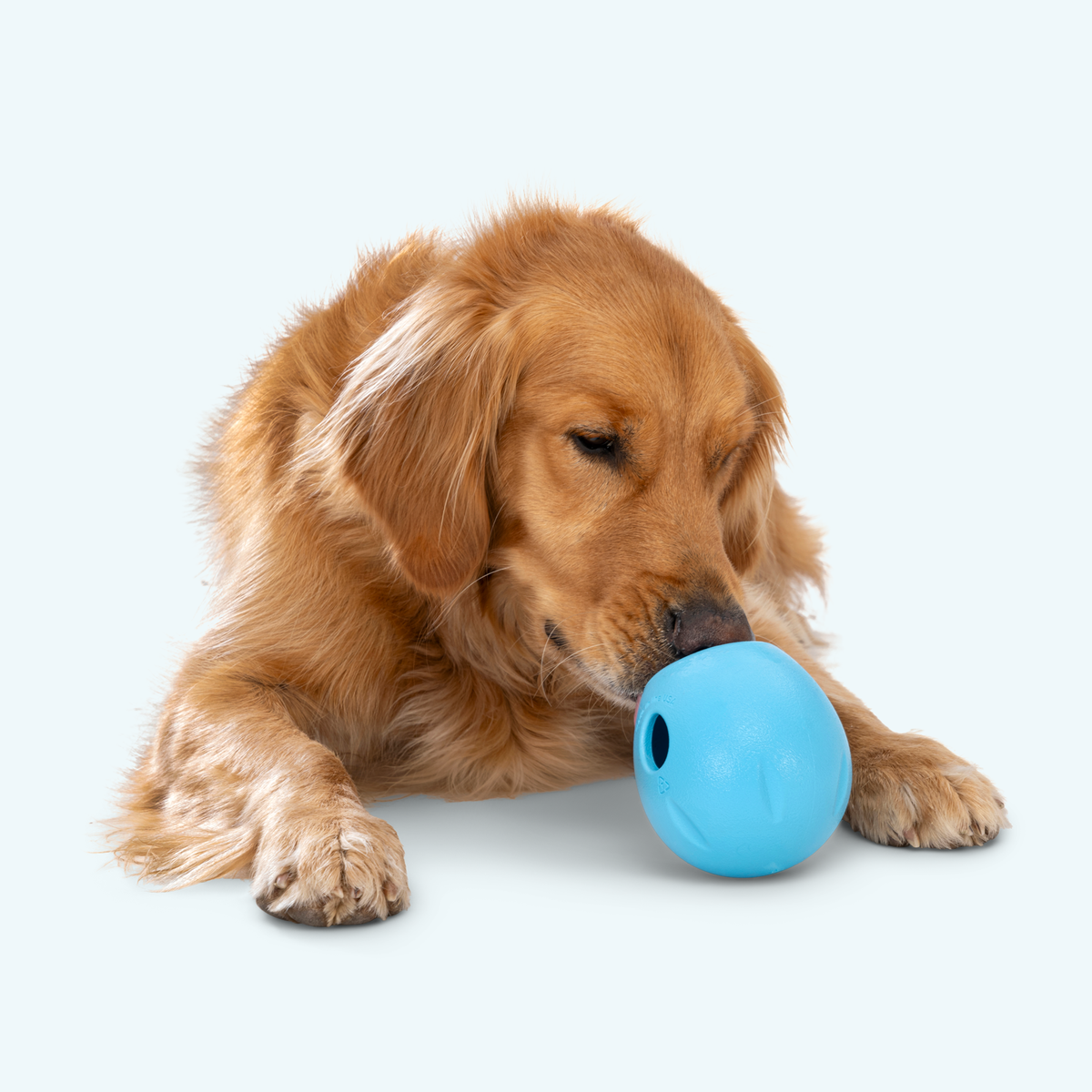 West Paw Rumbl Treat Toy