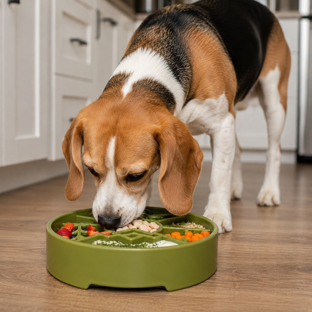 SodaPup Great Outdoors Slow Feeder Bowl