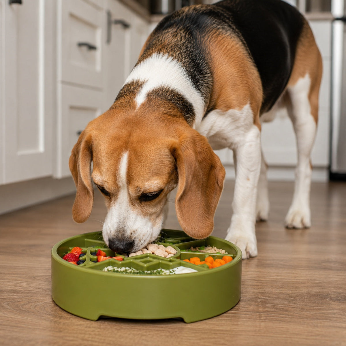 SodaPup Great Outdoors Slow Feeder Bowl