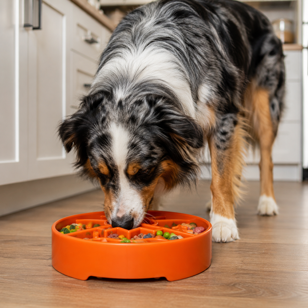 SodaPup Great Outdoors Slow Feeder Bowl