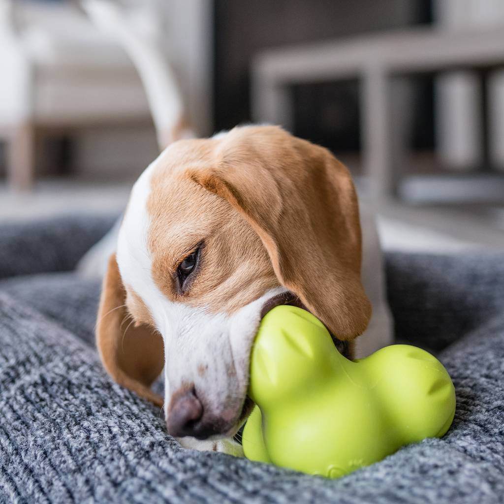 West Paw Tux Treat Toy