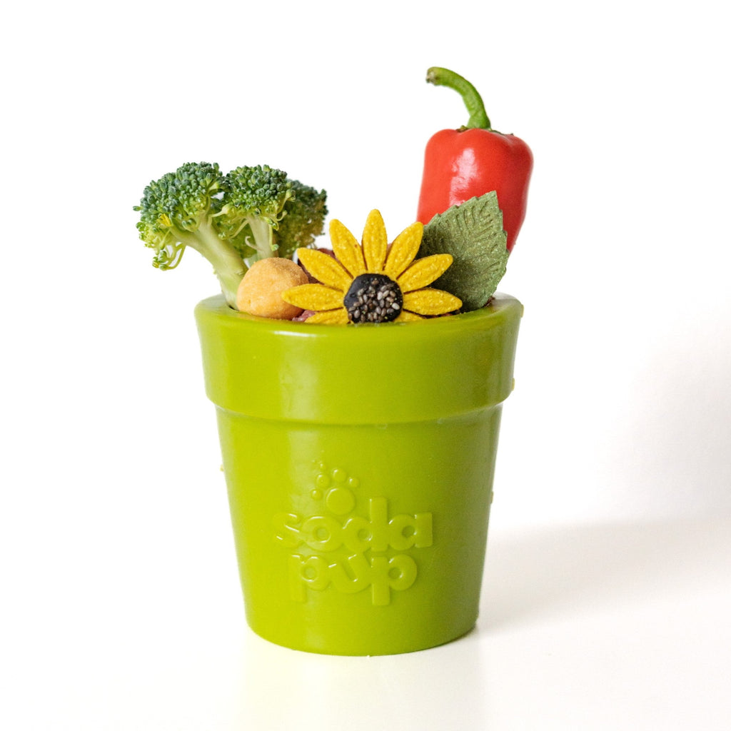 SodaPup Flower Pot Treat Dispenser