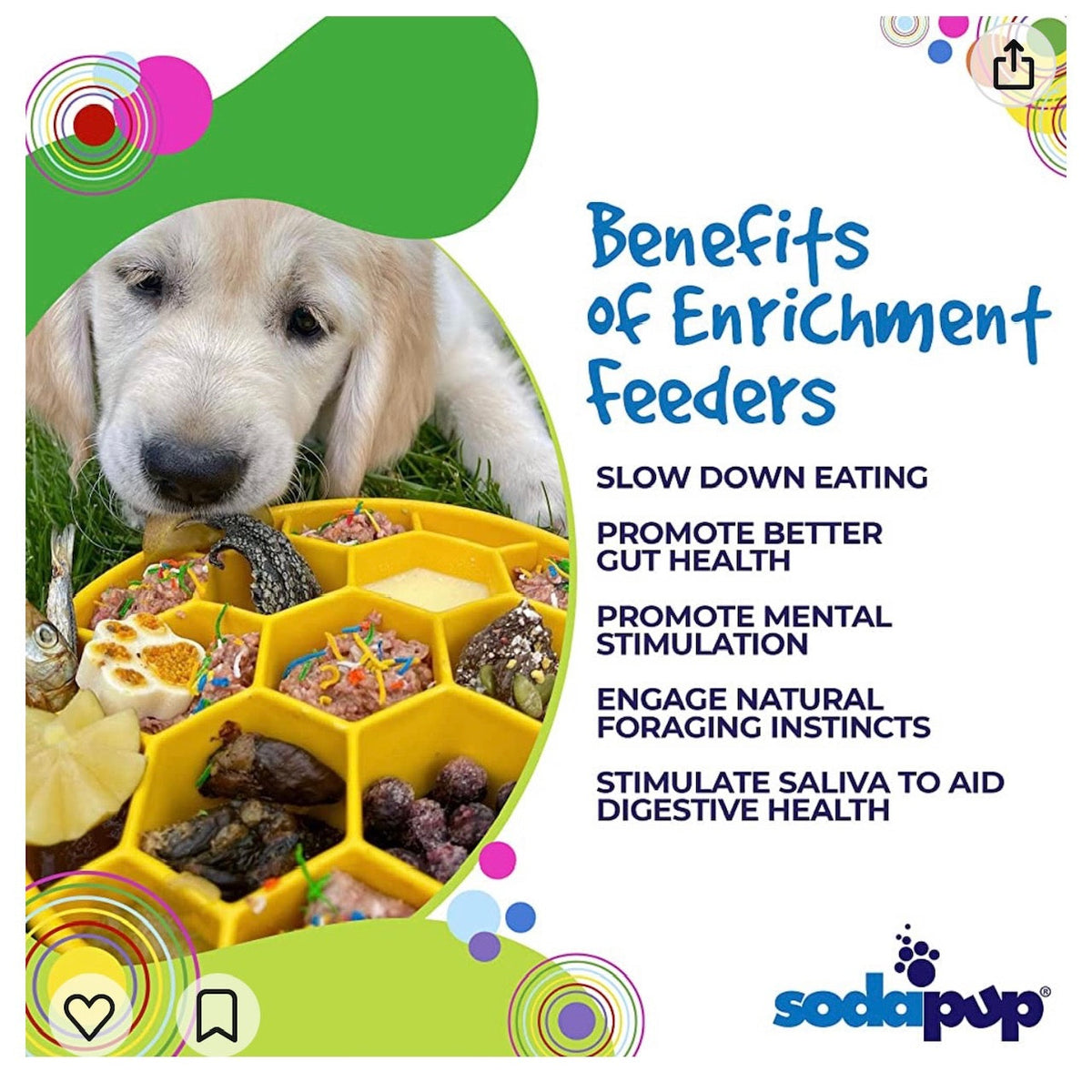 SodaPup Honeycomb Slow Feeder Dog Bowl